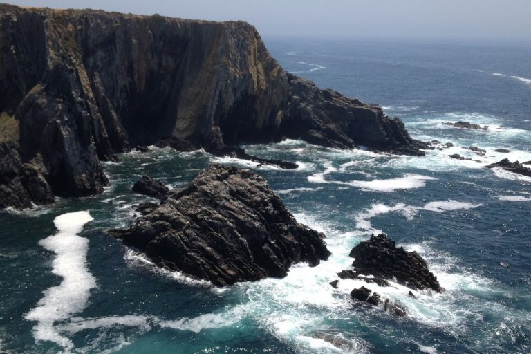 Friday Talk: Food Safety During Natural Disasters