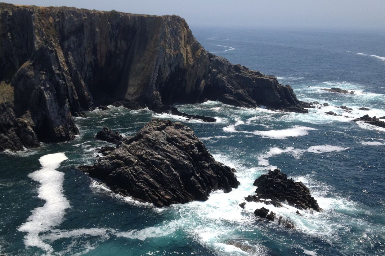 Friday Talk: Food Safety During Natural Disasters